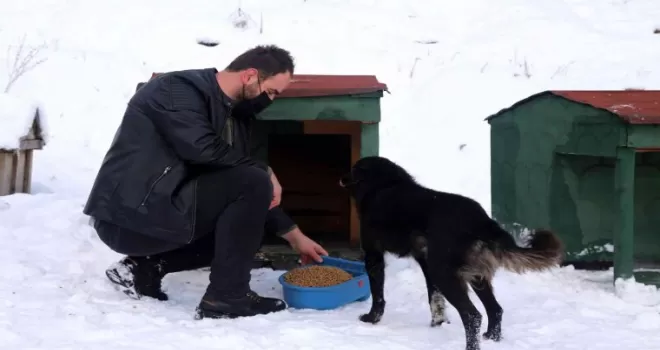 Sokak hayvanlarına şefkat eli