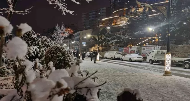 Gümüşhane kar yağışının ardından panayır alanına döndü
