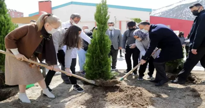 Gümüşhane Lisesinin bahçesine 16 selvi ağacı dikildi
