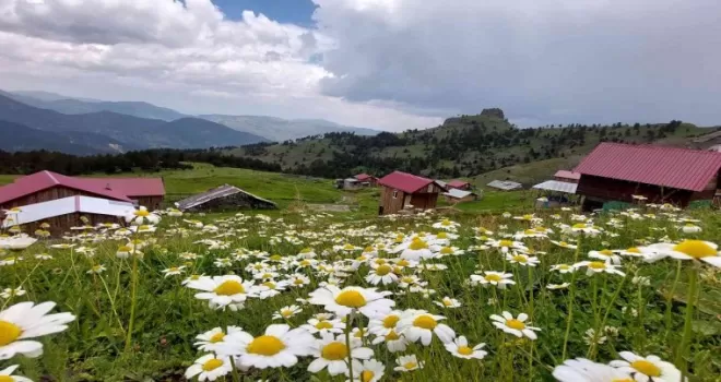 Doğaseverler Altınpınar Gölünde kamp kurdu