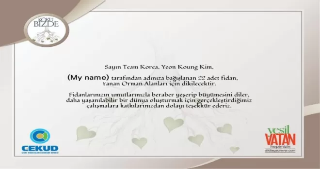 Güney Kore-Türkiye dostluğu, 120 bin fidanla kökleşecek
