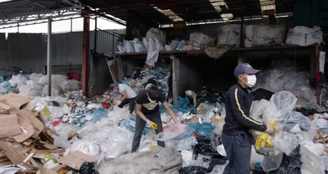 Güngören’de her bina 5 ağacı kesilmekten kurtardı
