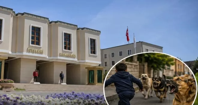 Halfeti’deki köpek saldırısıyla ilgili Mülkiye Müfettişi görevlendirildi