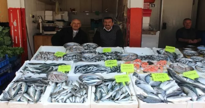 Hamdi Arslan: “Artık tezgahlarda çiftlik balıkları göreceğiz”
