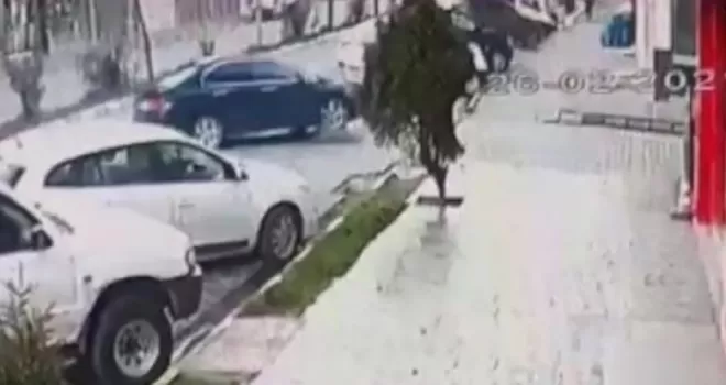 Hamile sokak köpeğinin üzerinden arabayla geçti
