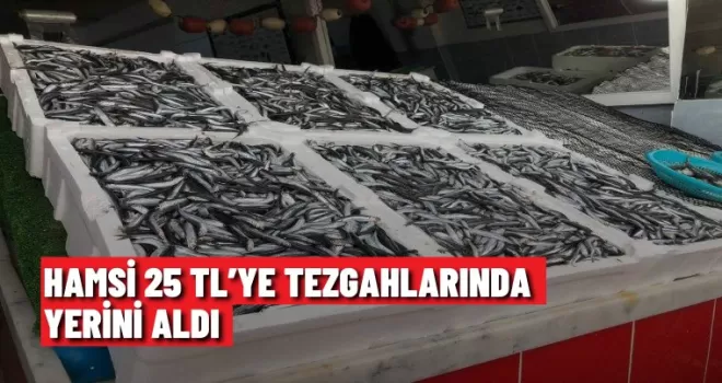 Hamsi 25 TL’ye tezgahlarında yerini aldı