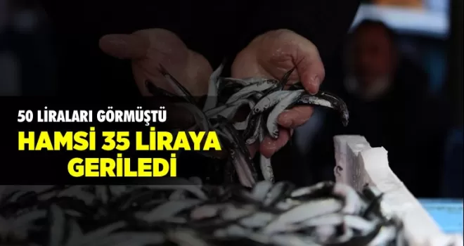 Hamsi 35 liraya geriledi
