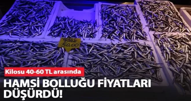 Hamsi bolluğu fiyatları düşürdü!
