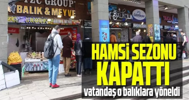 Hamsi sezonu kapattı, vatandaş istavrit ve mezgite yöneldi