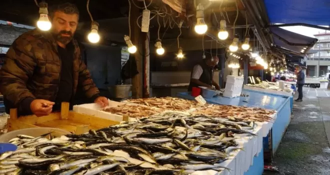 Hamsi ve palamut kayıplarda
