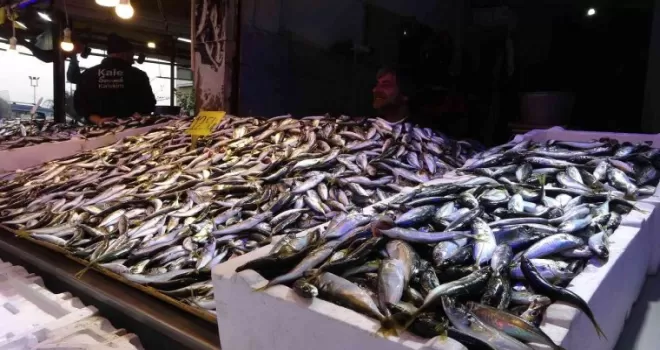 Hamsinin fiyatı tırmanışa geçerek rekor seviyeye ulaştı

