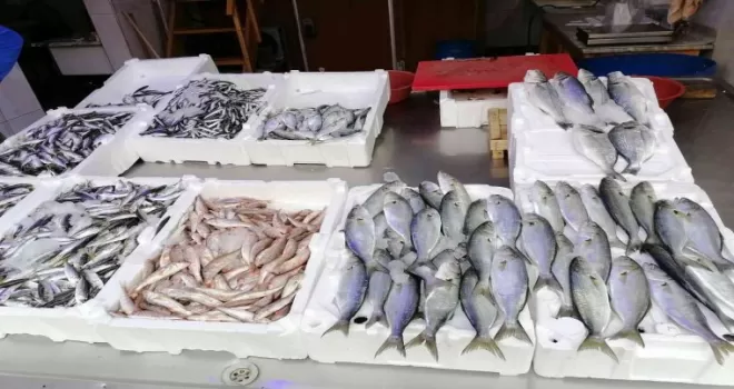 Hava şartları balık fiyatlarını olumsuz etkiledi
