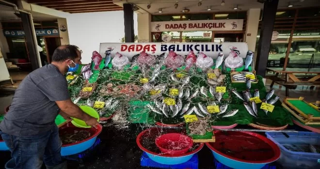 Havaların soğumaması balık fiyatlarını yükseltiyor
