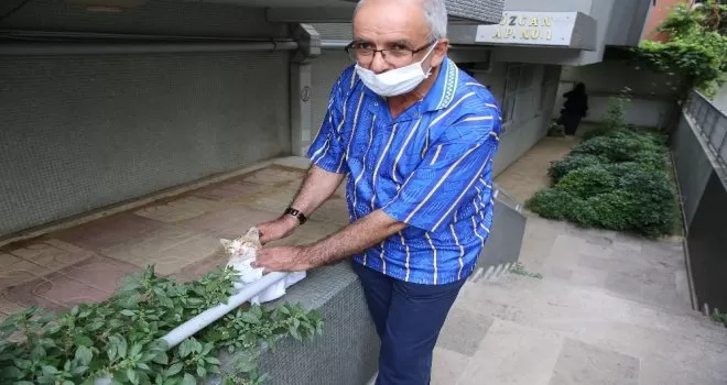Hayvan ambulansı minik dostlar için hizmete başladı
