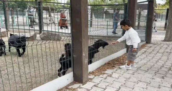 Hayvanat Bahçesi’nde 30 Ağustos bereketi