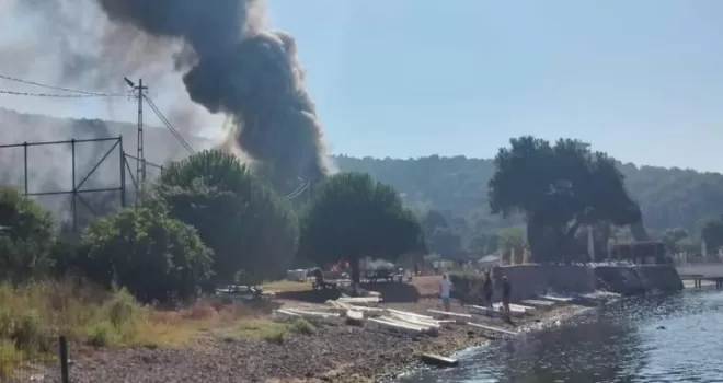 Heybeliada’da havai hatlarda çıkan yangın ağaçlara sıçradı
