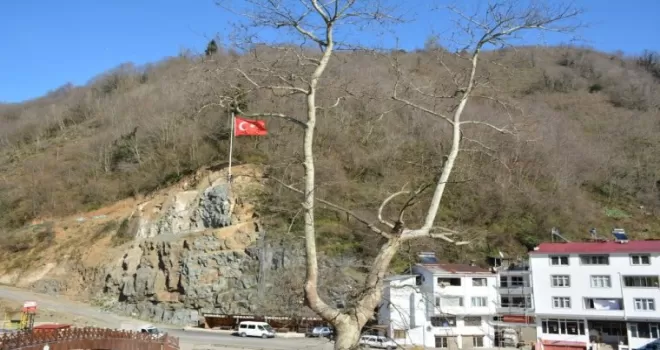 Heyelan sahasına Türk bayrağı
