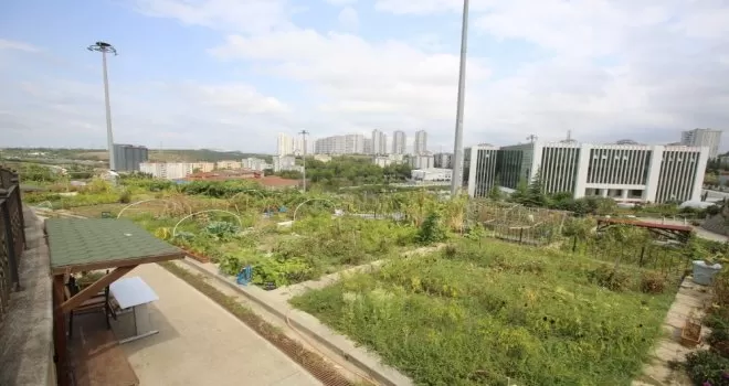 Hobi Bahçeleri Küçükçekmecelileri doğayla ve toprakla buluşturuyor
