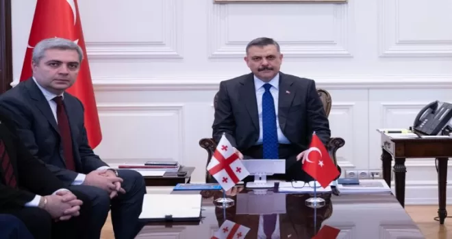 İçişleri Bakanlığı’nda Türkiye-Gürcistan temasları