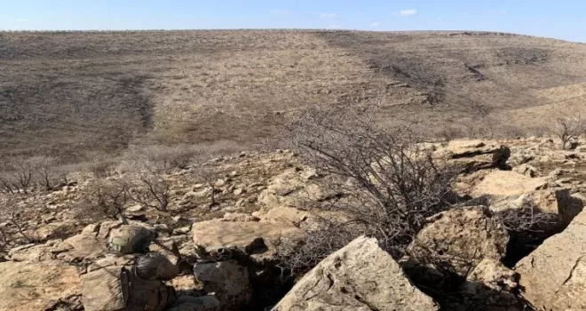 Mardin’de Eren Kış-20 Operasyonu başlatıldı