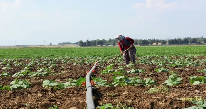 İmamoğlu Sulama Projesinde çalışmalar devam ediyor
