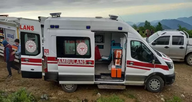 İneği ile birlikte uçuruma yuvarlanan kadın hayatını kaybetti