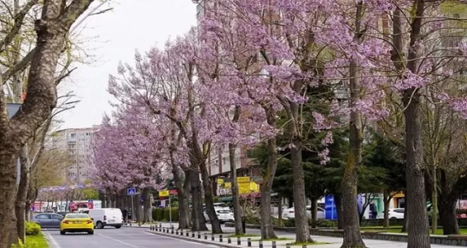 İstanbul Beylikdüzü’nde bakım ve yaz hazırlığı bir arada