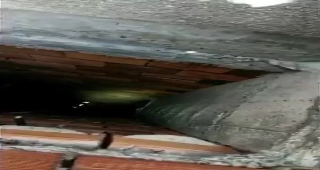 İstanbul’da çatıda nefes kesen kedi kurtarma operasyonu
