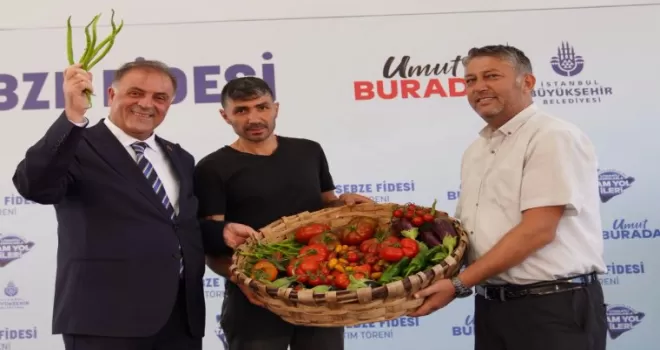 İstanbul’da çiftçilere ücretsiz kışlık sebze fidesi