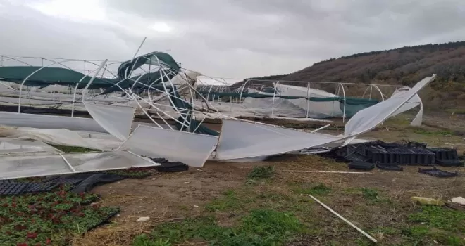 İstanbul’da etkili olan lodos seraları vurdu
