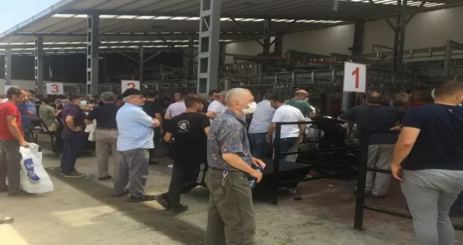 İstanbul’da kurban kesim alanlarına sıkı denetim

