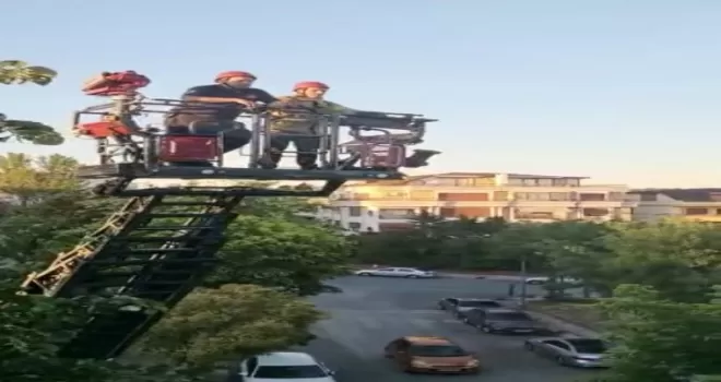 İstanbul’da kuş kurtarma operasyonu kamerada
