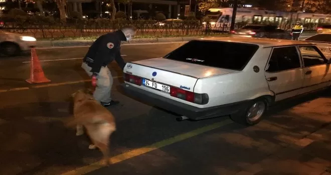 İstanbul genelinde “Yeditepe Huzur” uygulamaları yapıldı
