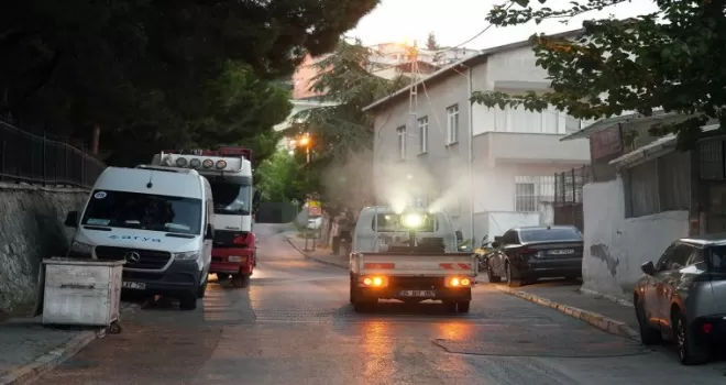 İstanbul Maltepe’de ilaçlama çalışmaları sürüyor
