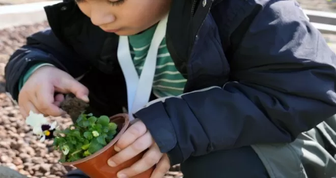 İstanbul Maltepe’de ’tarım parkı’ minikleri ağırladı