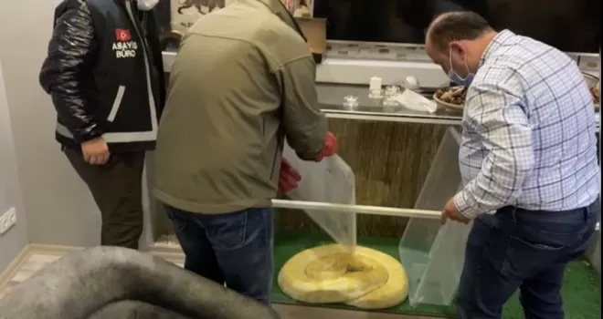 İstanbul’un göbeğinde “piton” operasyonu kamerada
