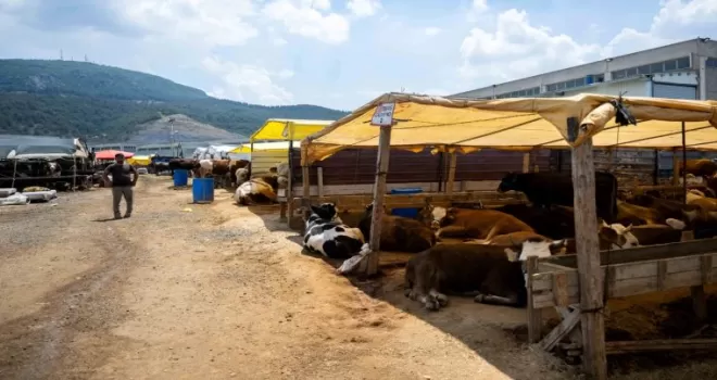 İzmir Bornova’da Kurban Pazarı kapılarını açtı