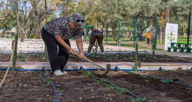 İzmir’de toprakla buluştu, yaşama yeniden tutundu