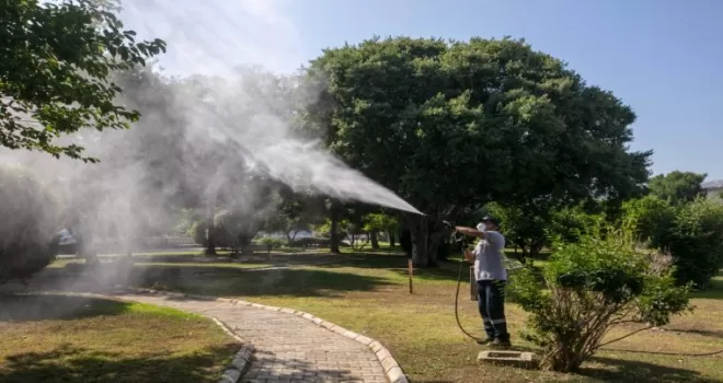 İzmir Güzelbahçe’de sezon ilaçlaması başladı