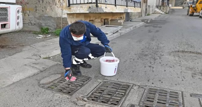 İzmir Karabağlar’da erken dönem sinek mücadelesi başladı