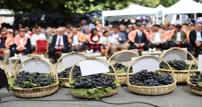 İzmir Karabağlar’da Kavacık Üzüm Festivali coşkusu