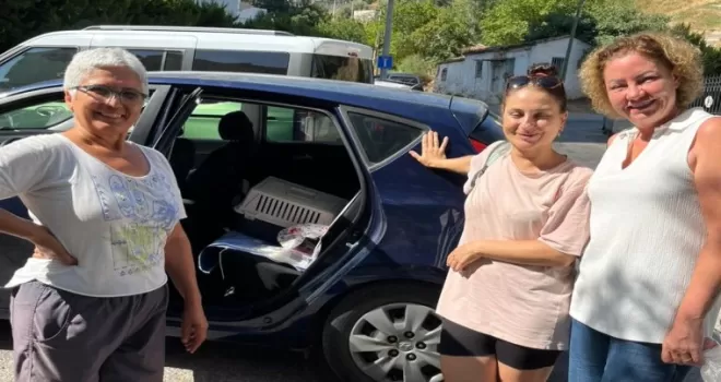 İzmir Narlıdere’de minik dostlar için seferberlik