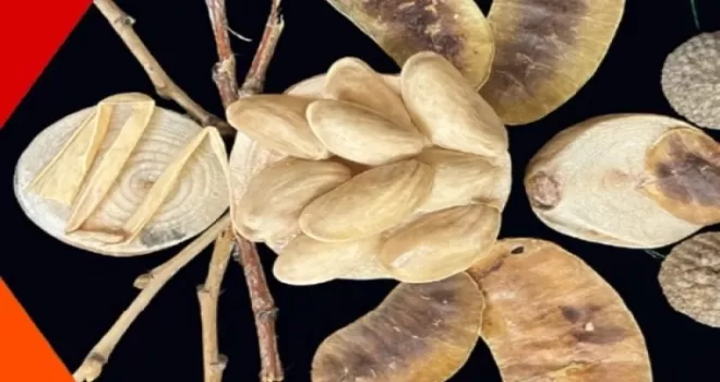 İzmit Oyuncak Müzesi’nde yaratıcı atölyeler sürüyor
