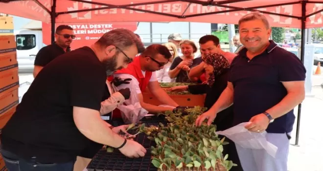 İzmit’ten vatandaşa ücretsiz fide desteği