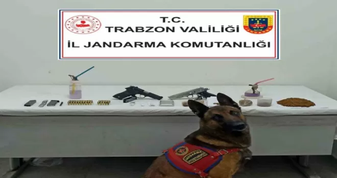 Jandarma Narkotik timlerinden ’Duman’ imzalı operasyon
