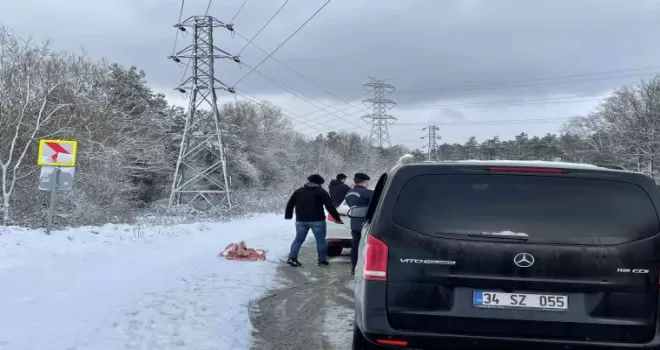 Jandarma sokak hayvanlarını besledi
