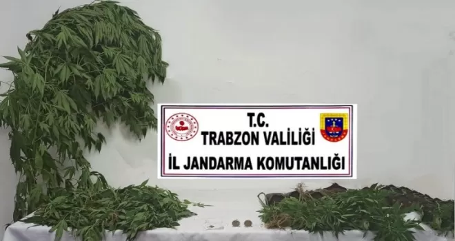 Jandarma uyuşturucu satıcılarına geçit vermiyor