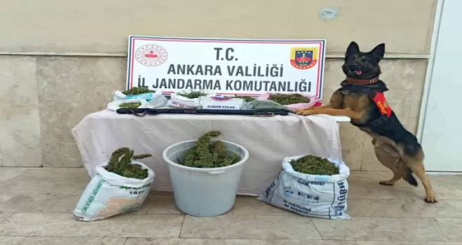 Jandarma zehir tacirlerine geçit vermedi
