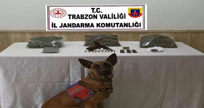 Jandarmadan uyuşturucu operasyonu
