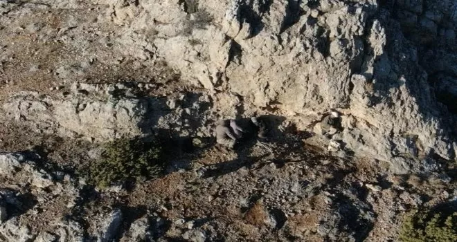 Kaçak av ile mücadelede teknolojik takip
